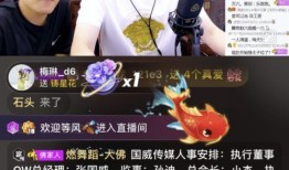 爆料广东猛哥是谁啊视频,视频爆料背后的神秘人物